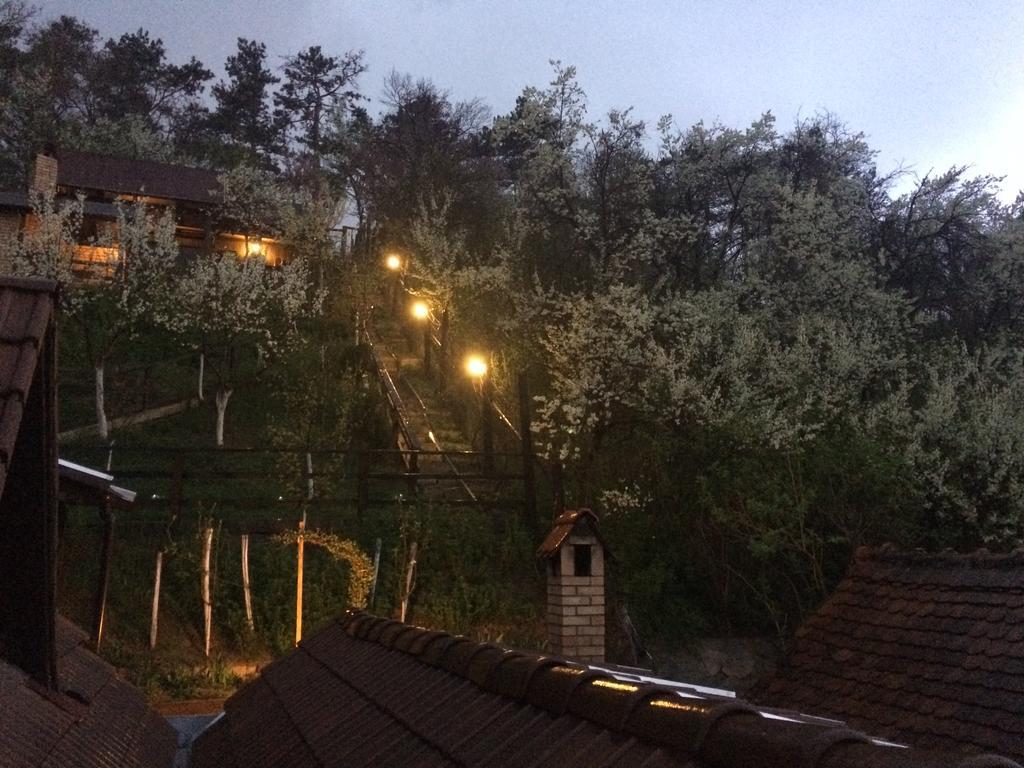 Casa Cu Cerdac Hotel Sighişoara Esterno foto